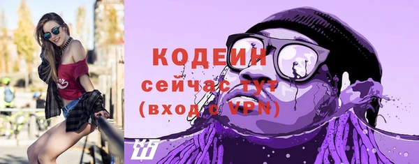 стаф Ростов