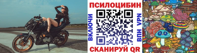 Псилоцибиновые грибы Psilocybe  сколько стоит  Вилюйск 